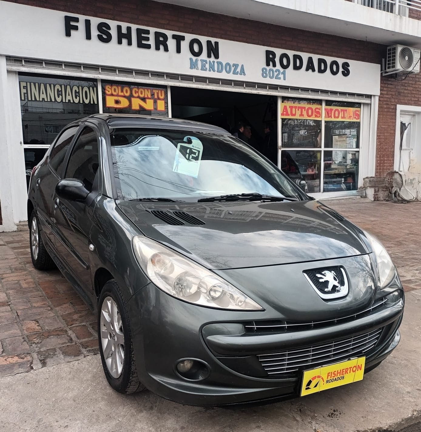 PEUGEOT  207 FULL
